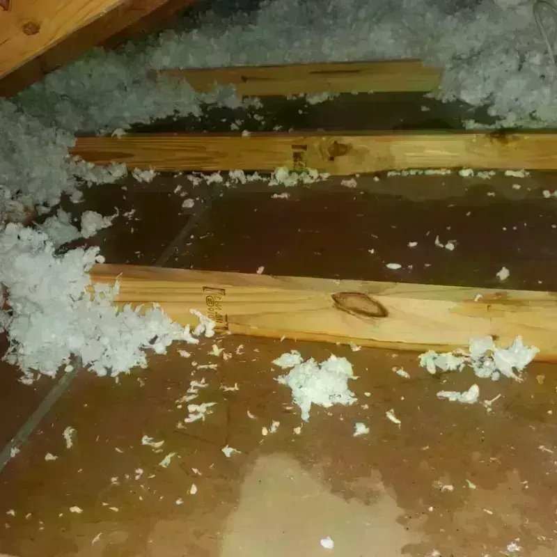 Attic Water Damage in Dillonvale, OH